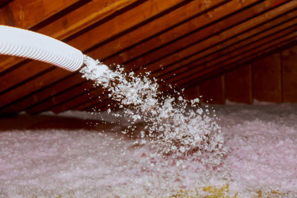 Best Commercial Insulation in Sidney, IL
