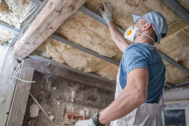 Best Insulation for Specific Applications in Sidney, IL