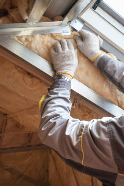Best Insulation Maintenance and Repair in Sidney, IL