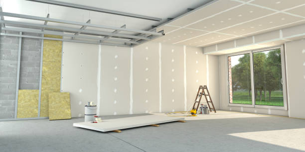 Best Residential Insulation in Sidney, IL