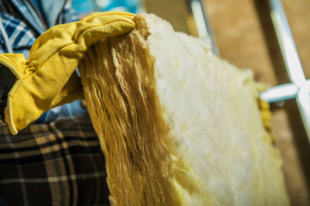 Best Energy Efficiency Insulation in Sidney, IL