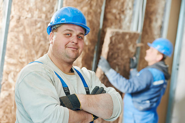 Best Residential Insulation in Sidney, IL