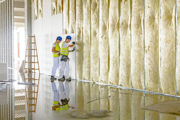 Best Commercial Insulation in Sidney, IL